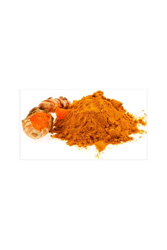 Curcuma poudre 60g Bio