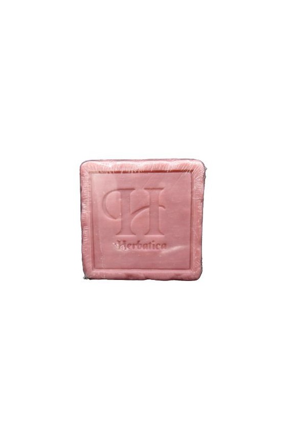 Savon fruits rouges 90g carré