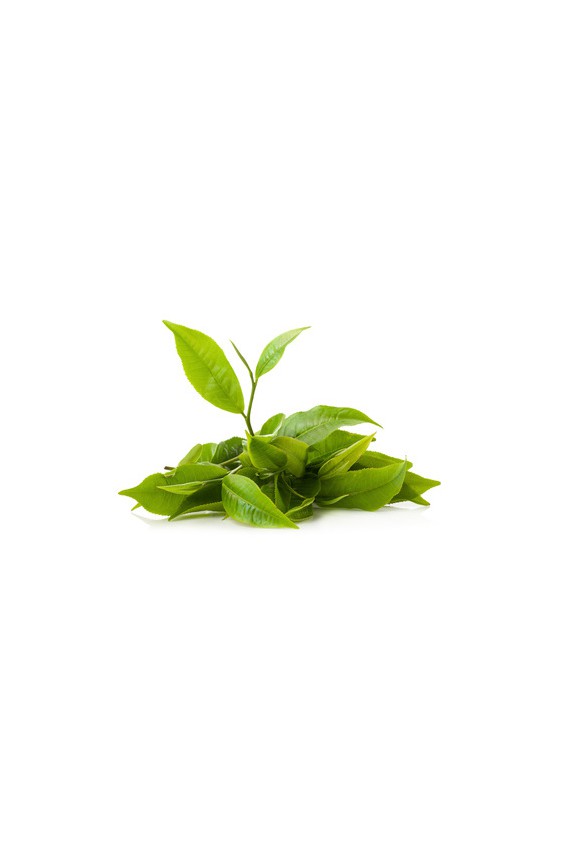 Thé vert Népal Green Guranse 70g Bio*