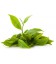 Thé vert Népal Green Guranse Bio*