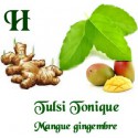 Tulsi Tonique mangue gingembre 75g Bio*