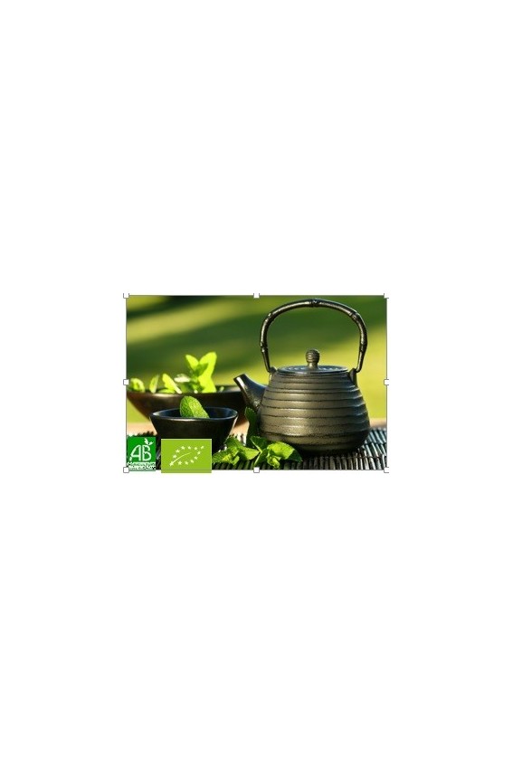 Thé vert nature Sencha Chine Bio*