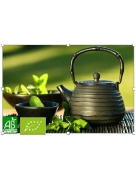 Thé vert nature Sencha Chine Bio*