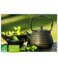 Thé vert nature Sencha Chine Bio*