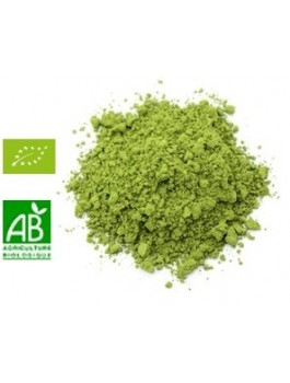 Thé vert Matcha Uji poudre 40g Bio*