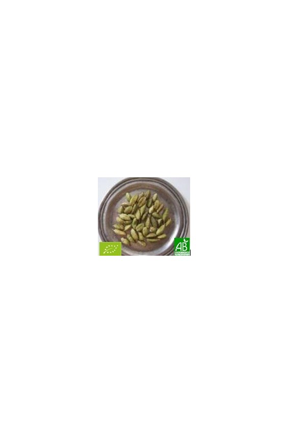 Cardamome graines entères 35g Bio