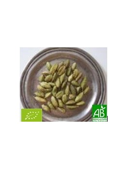 Cardamome graines entères 35g Bio