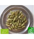 Cardamome graines entères 35g Bio