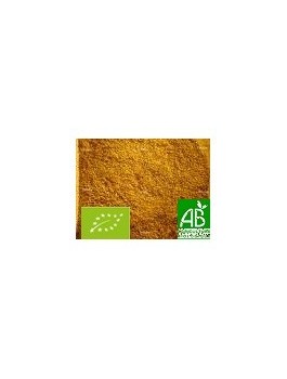 Curry indien mélange 50g Bio