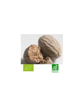 Muscade poudre 25g Bio