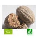 Muscade poudre 25g Bio