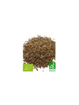 Cumin graines entères 50g Bio