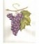 Petits fruits rouges du Vignoble Bio*