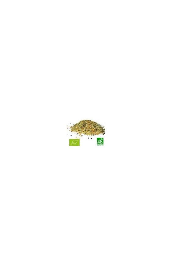 Panch Phoron mélange 45g Bio*