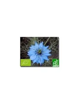 Nigelle graines entères 30g Bio