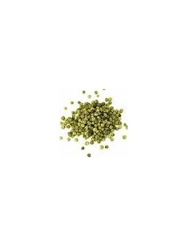 Poivre vert grains entiers Inde 30g Bio*