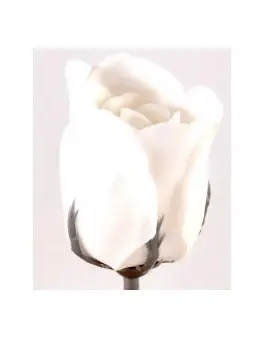 Savon à la rose à effeuiller