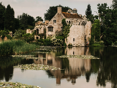 Infusion de Guenièvre : une tisane relaxante inspirée des jardins médiévaux