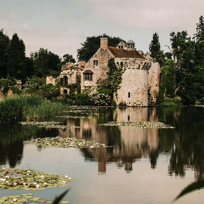 Infusion de Guenièvre : une tisane relaxante inspirée des jardins médiévaux